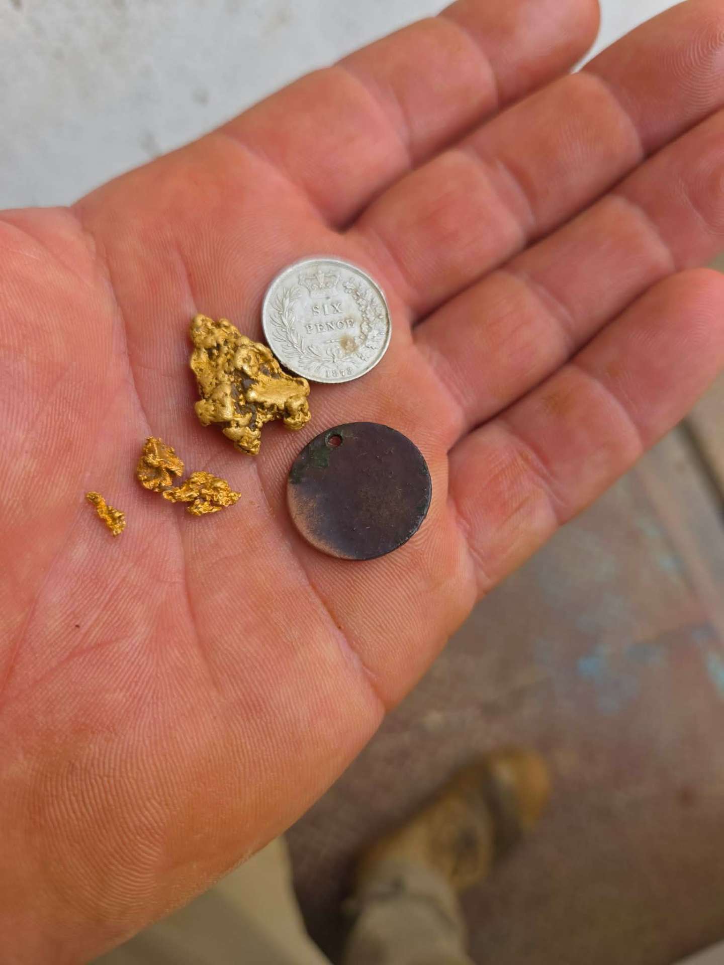Gold nuggets and historic sixpence coin from an alluvial dig